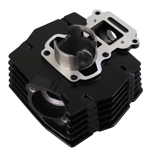 [101XT920] AX100 - KIT DE CILINDRO - JTK