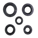 PULSAR 135/BM150  - KIT SELLOS DE MOTOR