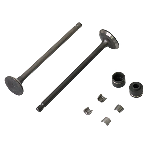 [A1213228] PULSAR135LS - SET VALVULAS - JTK