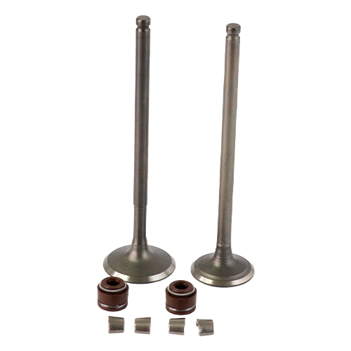 [A1213445] GN125H - SET VALVULAS - JTK