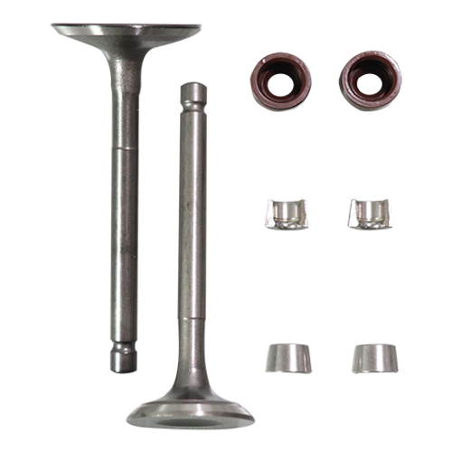 [101VV736] YBR125 - SET VALVULAS - JTK