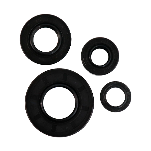 [101XT1368] APACHE 160/180 - KIT SELLOS DE MOTOR