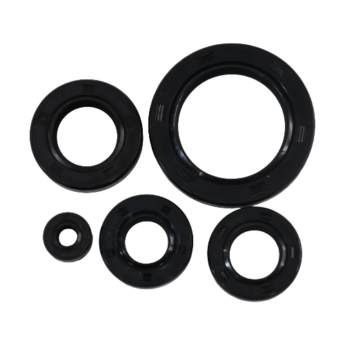 [101XT1371] CG150 - KIT SELLOS DE MOTOR