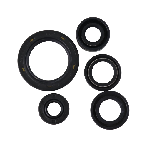 [101XT1374] GN125/EN125 - KIT SELLOS DE MOTOR