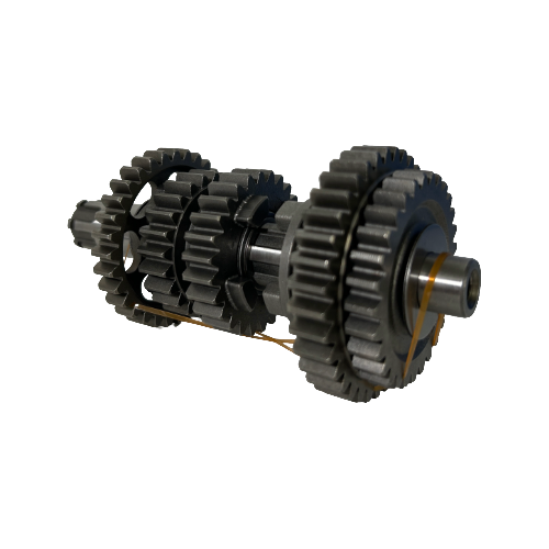 [101JTK125] CORAL125 - CAJA COMPLETA